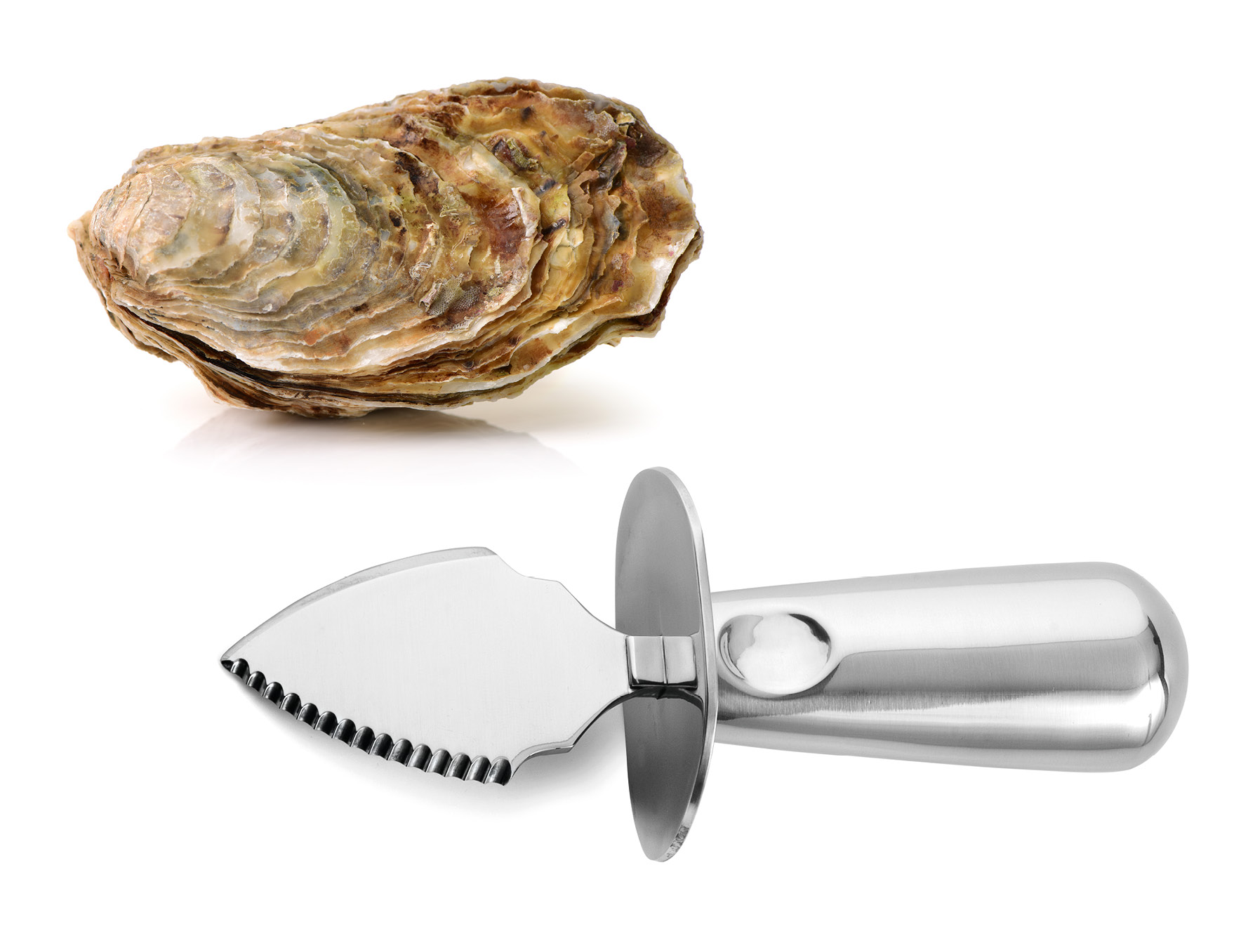 Austernbrecher B: 3,8 / L: 15 cm, Inox